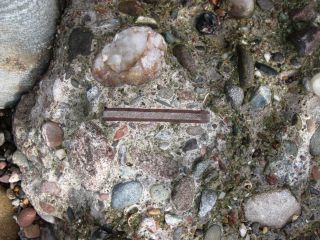Odd inclusions in the beach rock.
