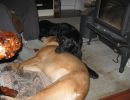 Afternoons by the wood stove.
