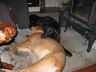 Afternoons by the wood stove.