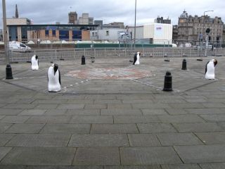 In the parking lot at the Discovery site, the pillons were penguins.