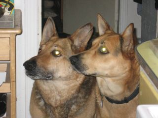 Laura and Bannie waiting to help with the dishes.