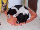 To her dying day, Maggie avoided going outside if it was raining.