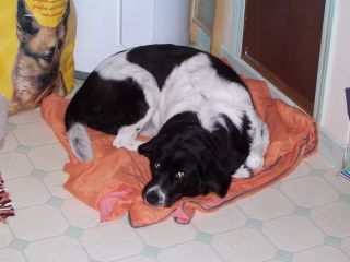 To her dying day, Maggie avoided going outside if it was raining.