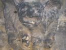 One of the numerous carved decoration on the corners and edges of the Chapel.