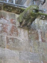 Gargoyle eve spout.
