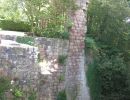 Plants growing out of the old stone pillars.