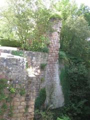 Plants growing out of the old stone pillars.