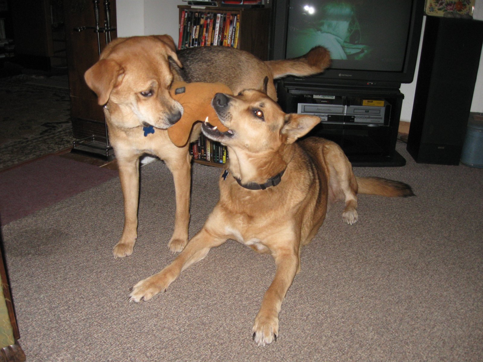 Bannie and Chloe