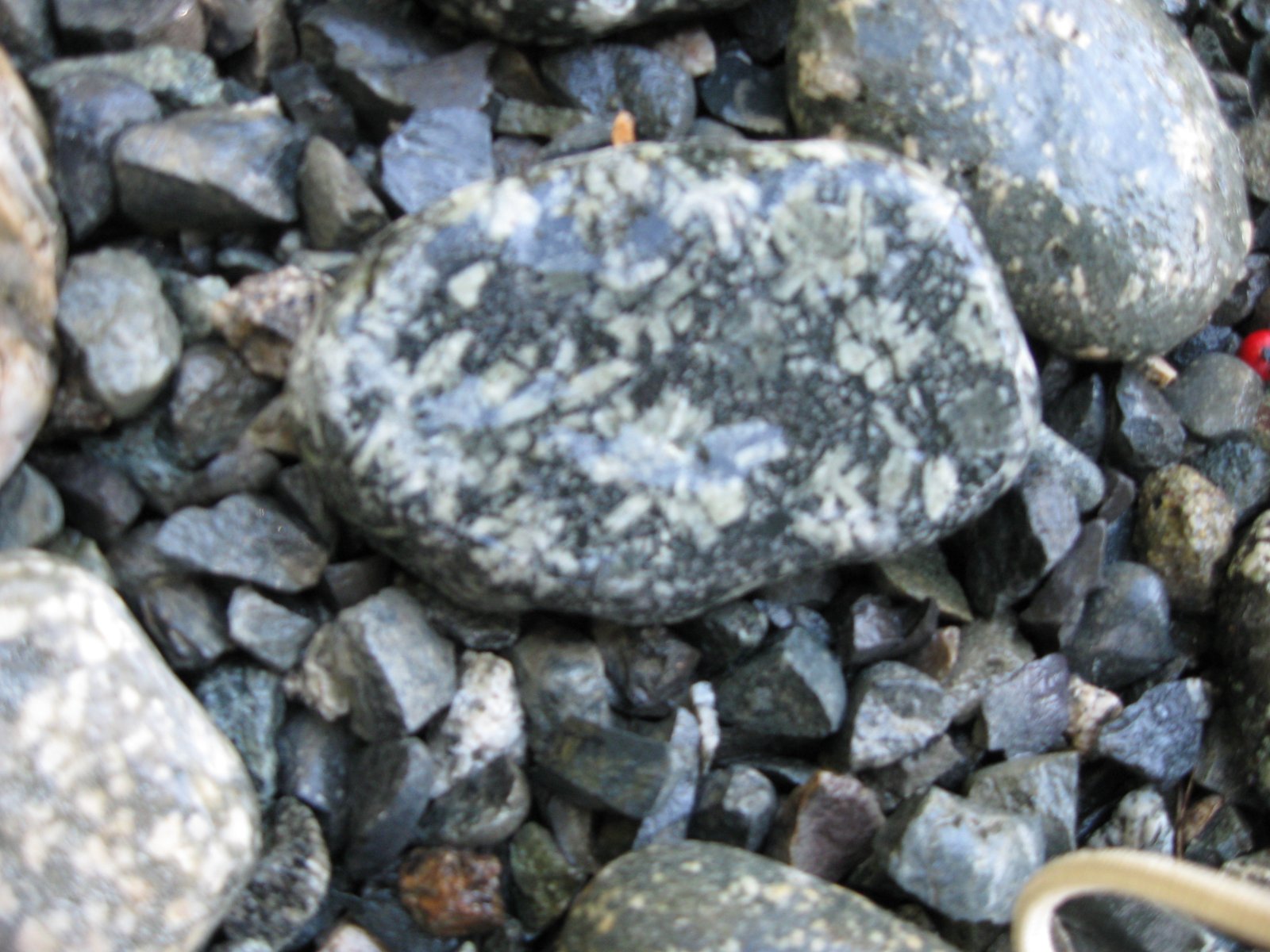 Rocks